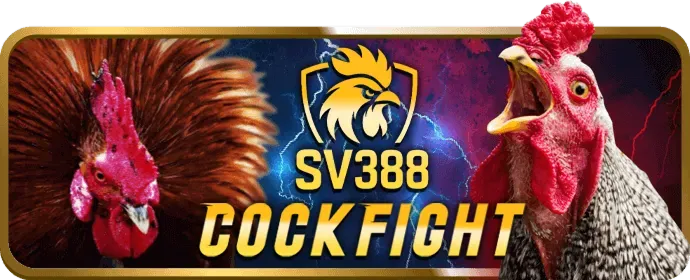 Điền thông tin đăng ký SV368